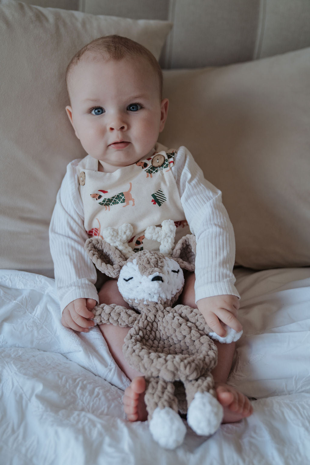 Crochet Christmas Companions