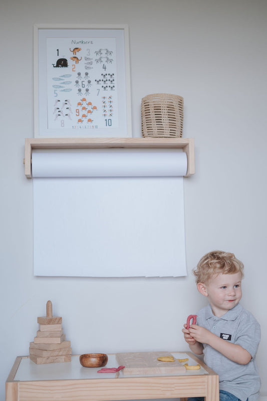 Paper roll holder shelf