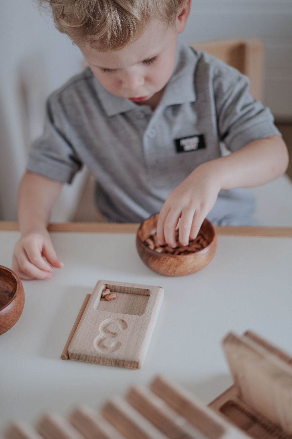 Counting and Tracing Trays