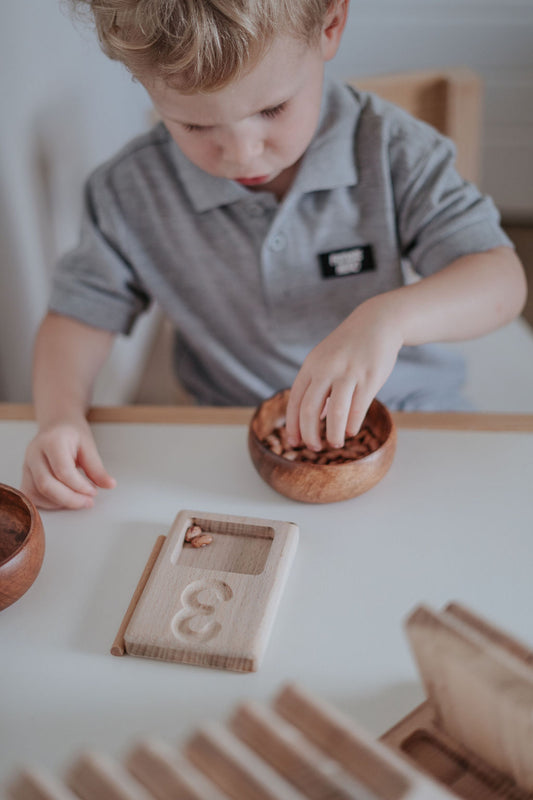 Counting and Tracing Trays