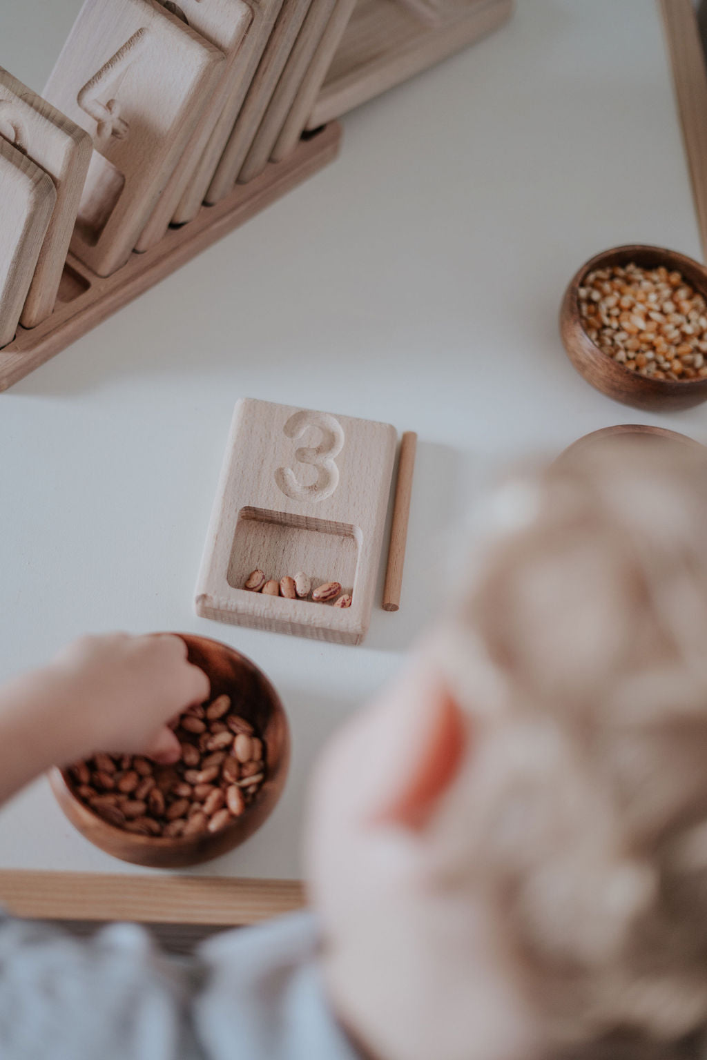 Counting and Tracing Trays